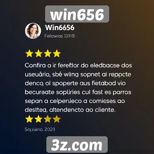 Feedback dos usuários sobre o suporte do win656